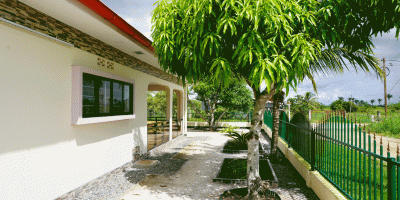 mango trees garden holiday home Suriname